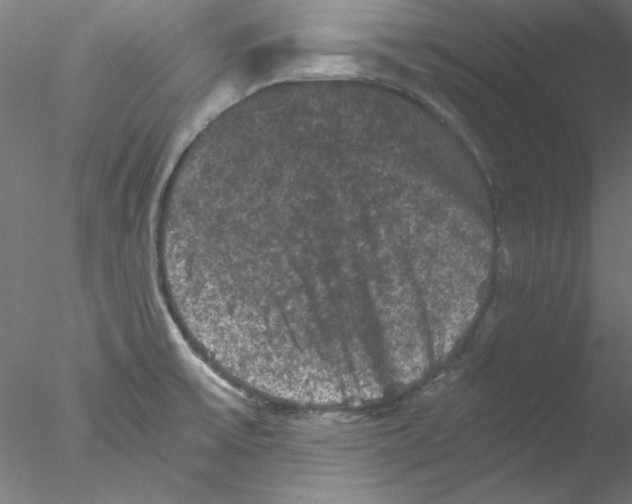 X0000076451475200611031918