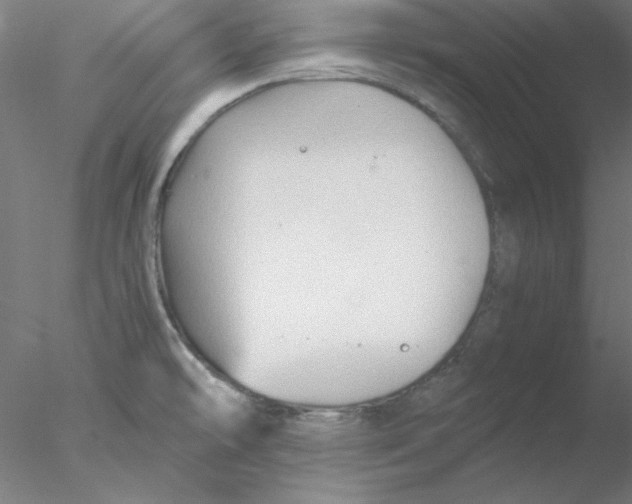 X0000076451478200611031918