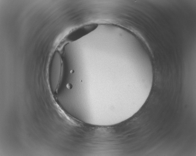 X0000076451480200611031918