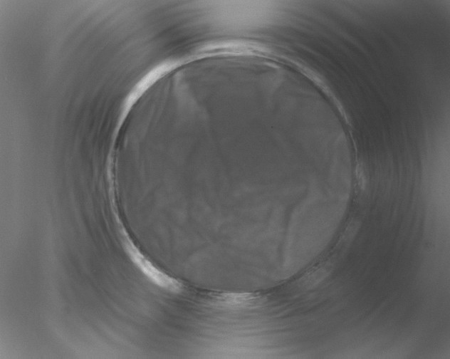 X0000076451482200611031918