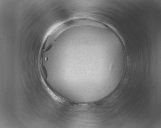 X0000076451485200611031918