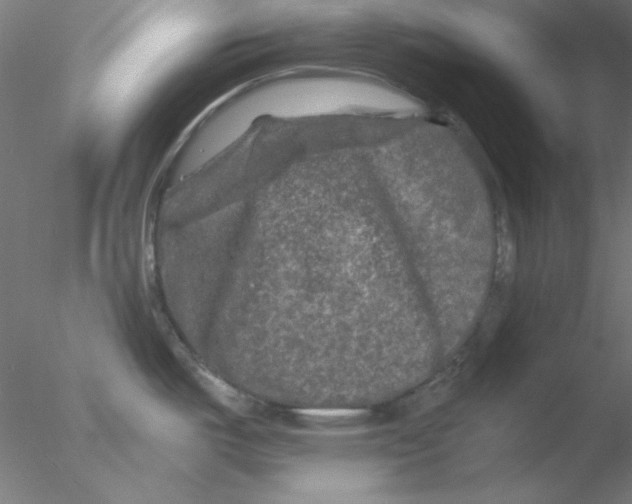 X0000076451487200611031918