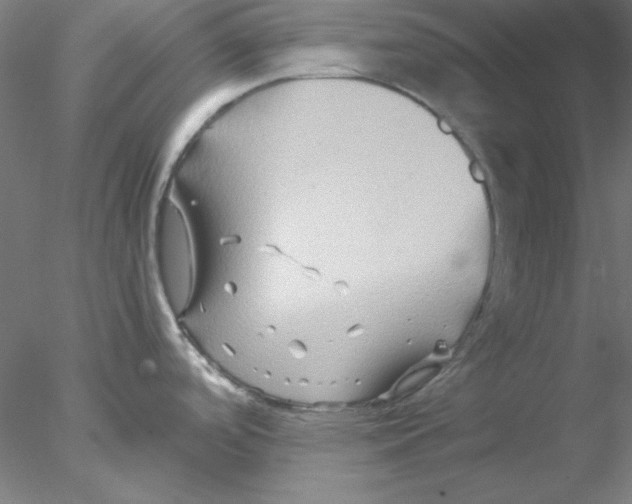 X0000076451488200611031918