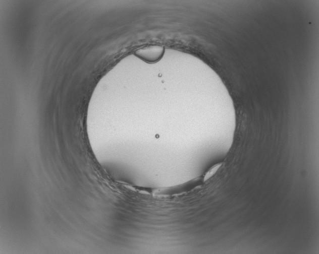 X0000076451489200611031917