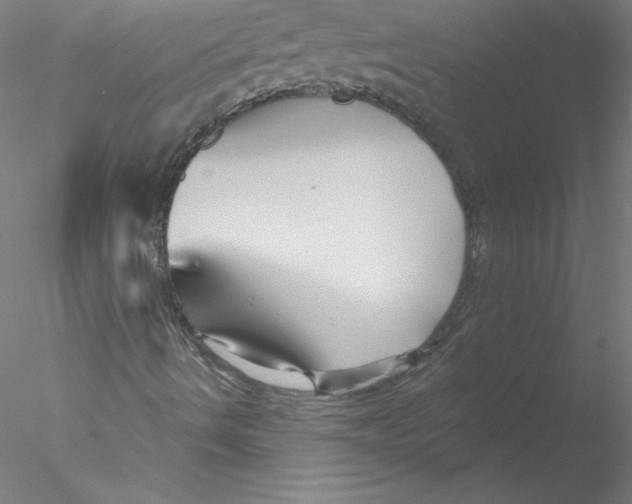 X0000076451490200611031917