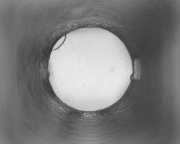 X0000076451491200611031917