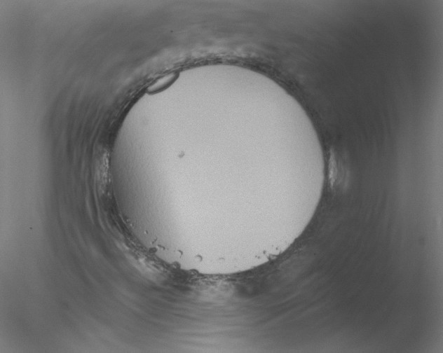 X0000076451492200611031917