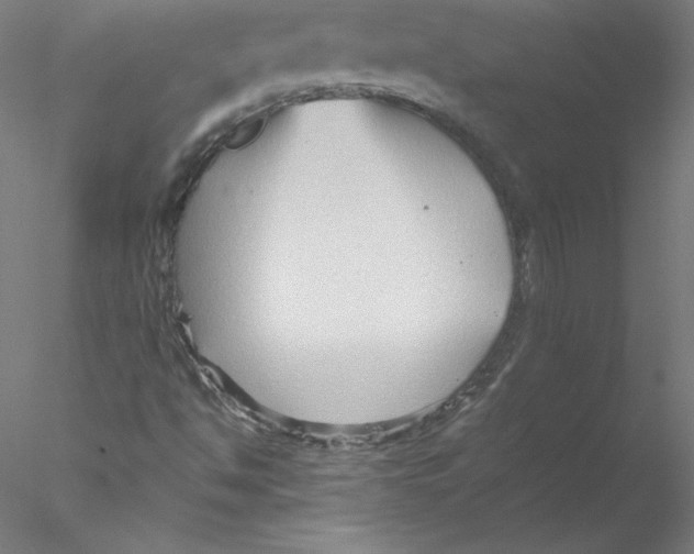 X0000076451494200611031917