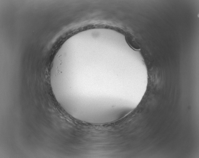 X0000076451495200611031917