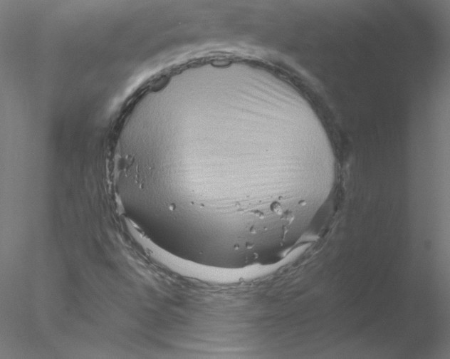 X0000076451496200611031917