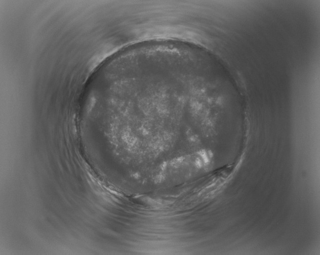 X0000076451497200611031917