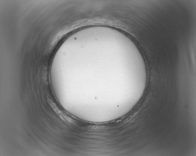 X0000076451499200611031917