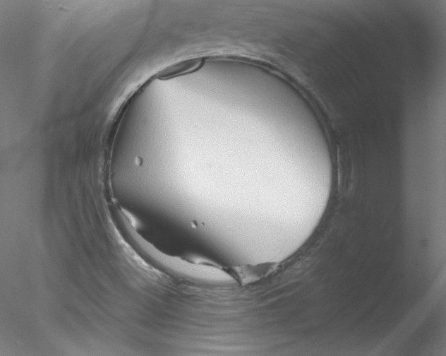 X0000076451500200611031917