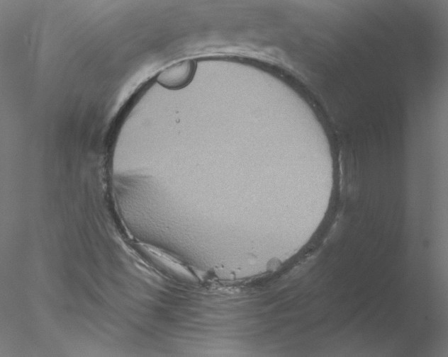 X0000076451501200611031917