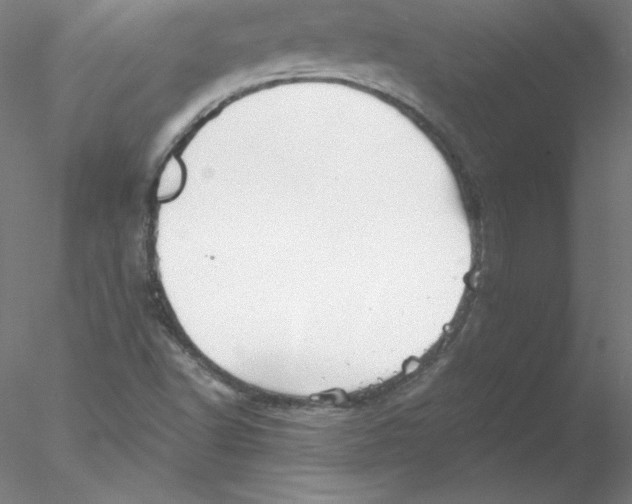 X0000076451502200611031918