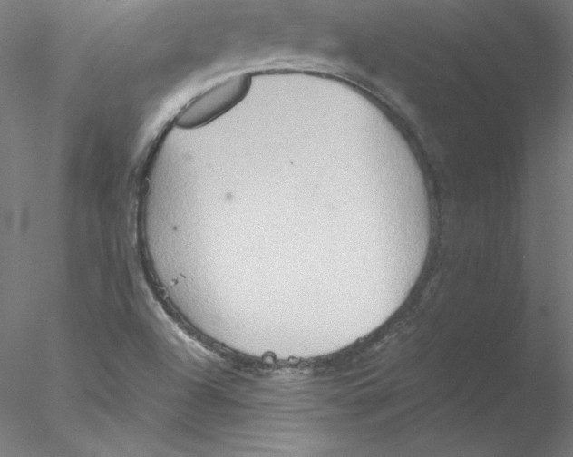 X0000076451504200611031918