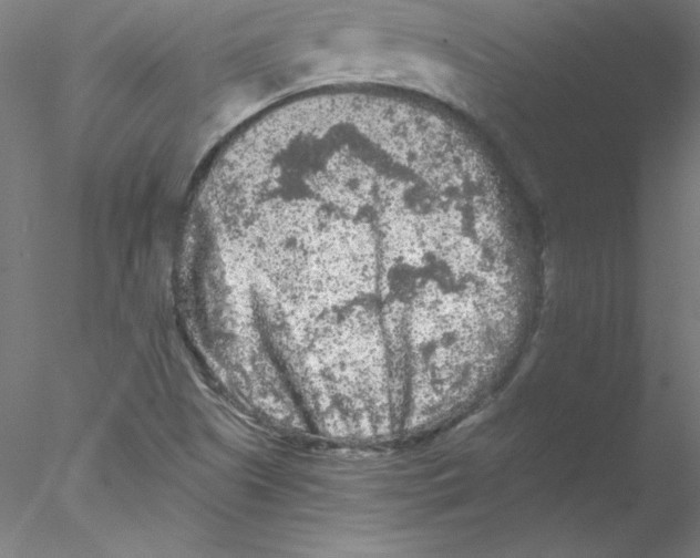 X0000076451505200611031918