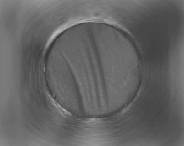 X0000076451506200611031918