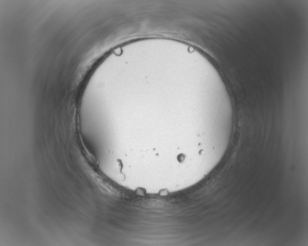 X0000076451507200611031918