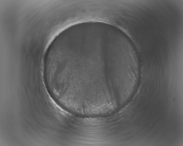 X0000076451508200611031918