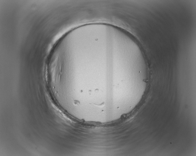 X0000076451510200611031918