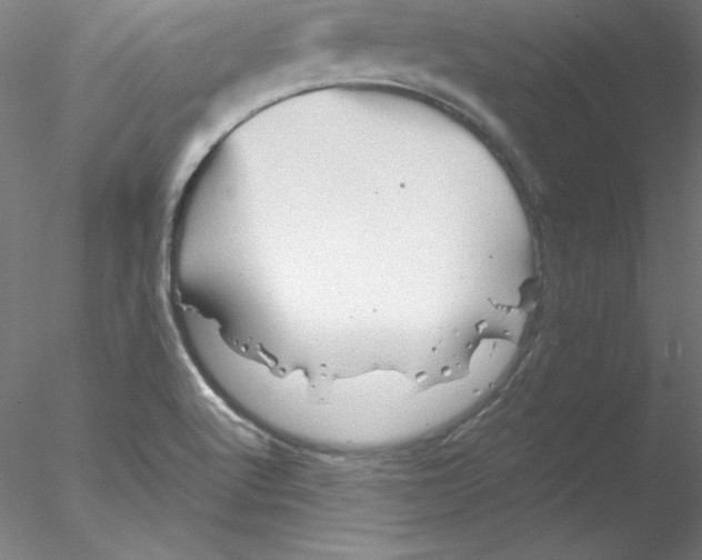 X0000076451512200611031918