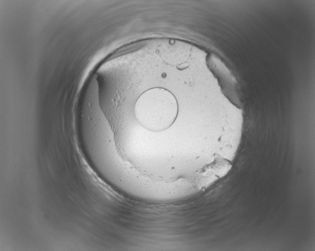 X0000076451514200611031918