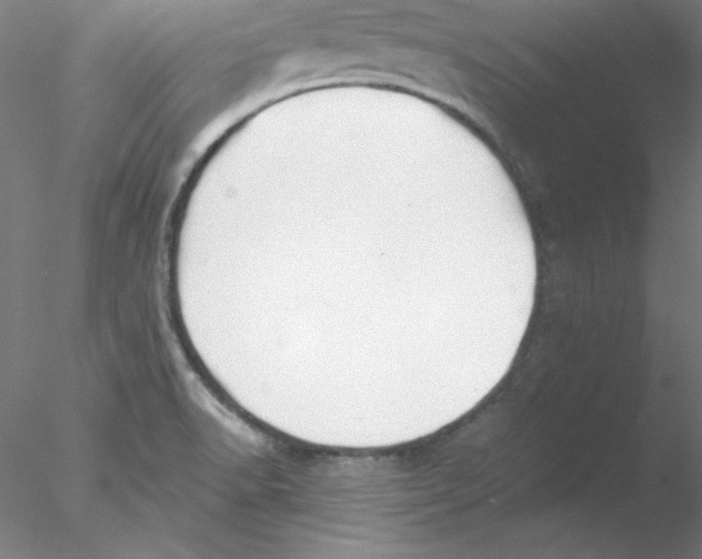 X0000076451518200611031918