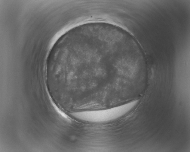 X0000076451519200611031918