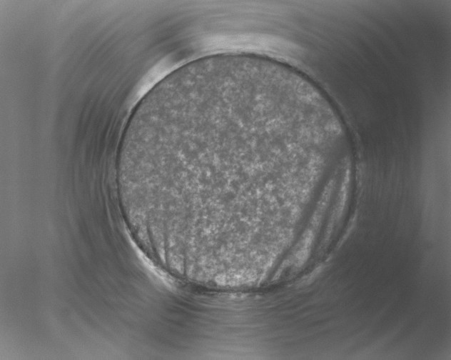 X0000076451521200611031918