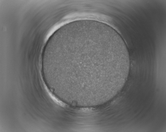 X0000076451523200611031918