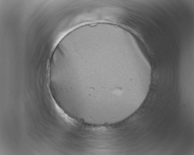 X0000076451524200611031918