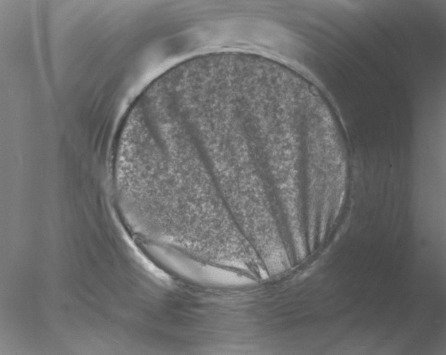 X0000076451525200611031918