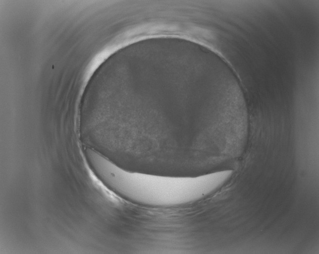 X0000076451527200611031918