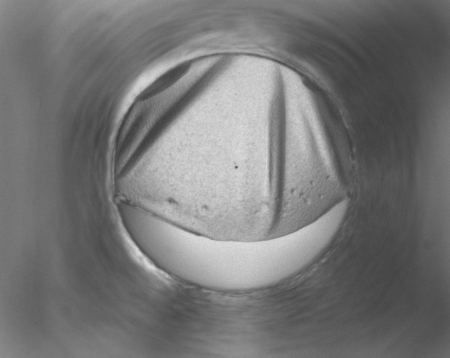 X0000076451528200611031918