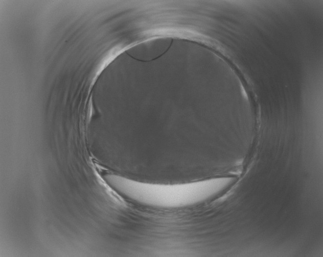 X0000076451529200611031918