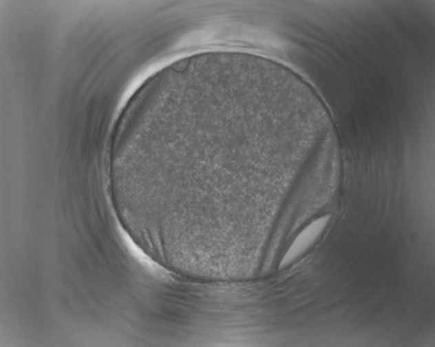 X0000076451531200611031918