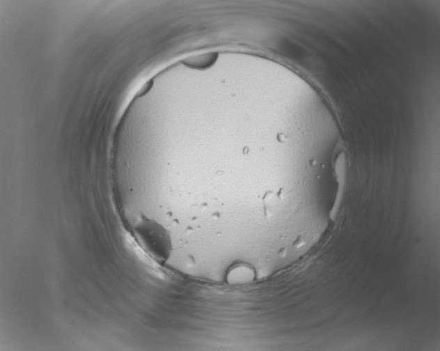 X0000076451532200611031918