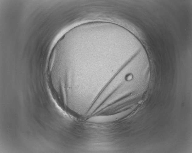 X0000076451536200611031918