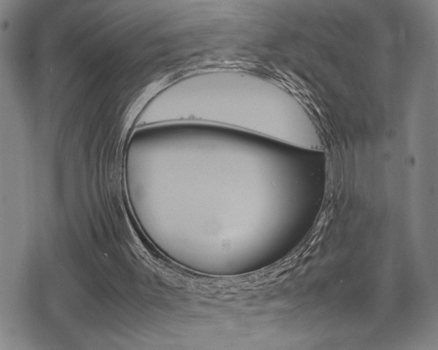 X0000077280003200610200756