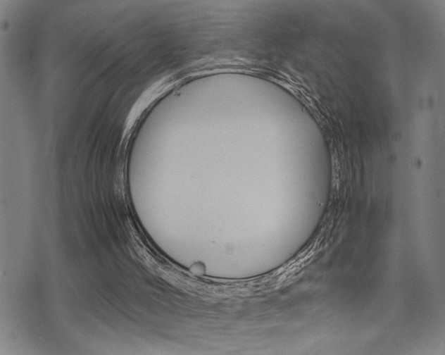X0000077280004200610200756
