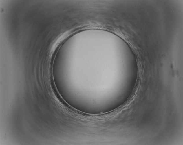 X0000077280007200610200756