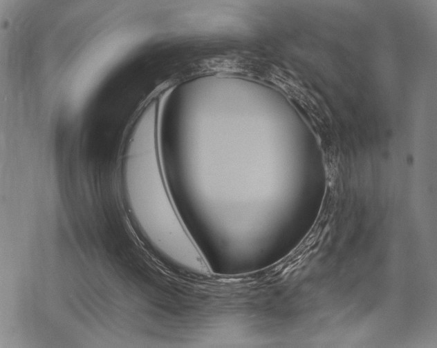 X0000077280052200610200754
