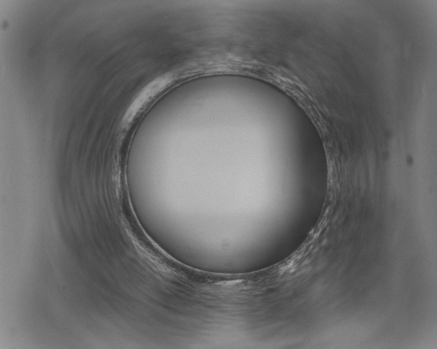 X0000077280054200610200754