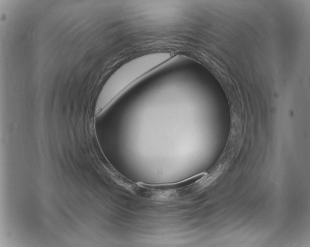 X0000077280096200610200755