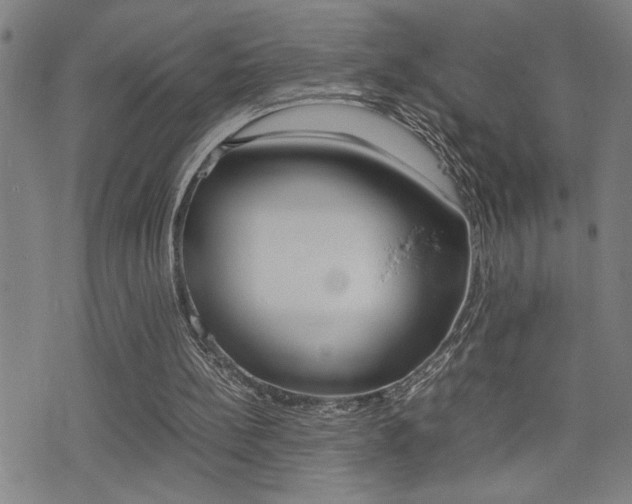 X0000077280148200610200753