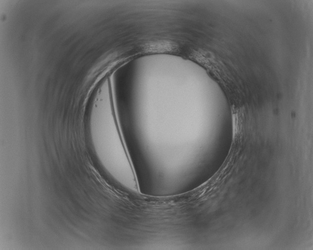 X0000077280243200610200751