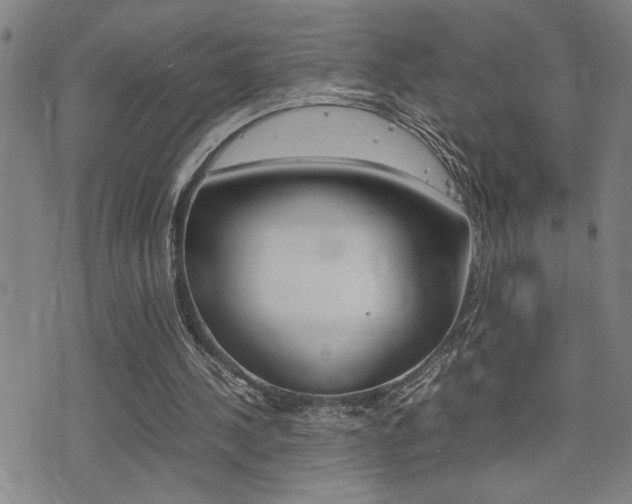 X0000077280244200610200751