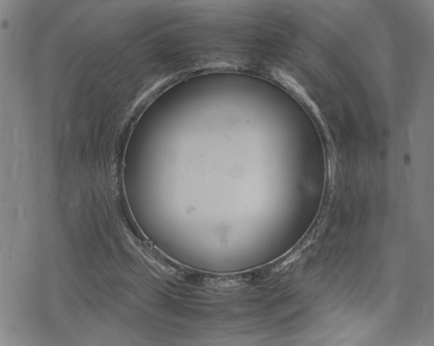 X0000077280249200610200751