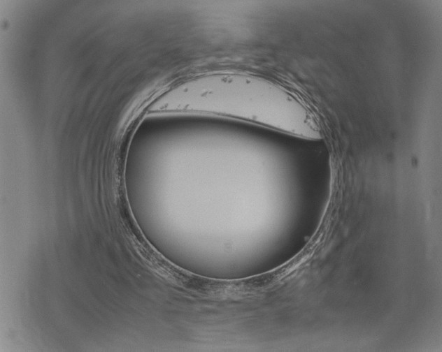 X0000077280293200610200751